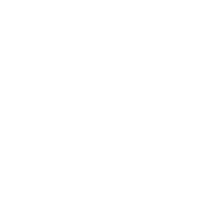 Qubetics Portrait White-Outline